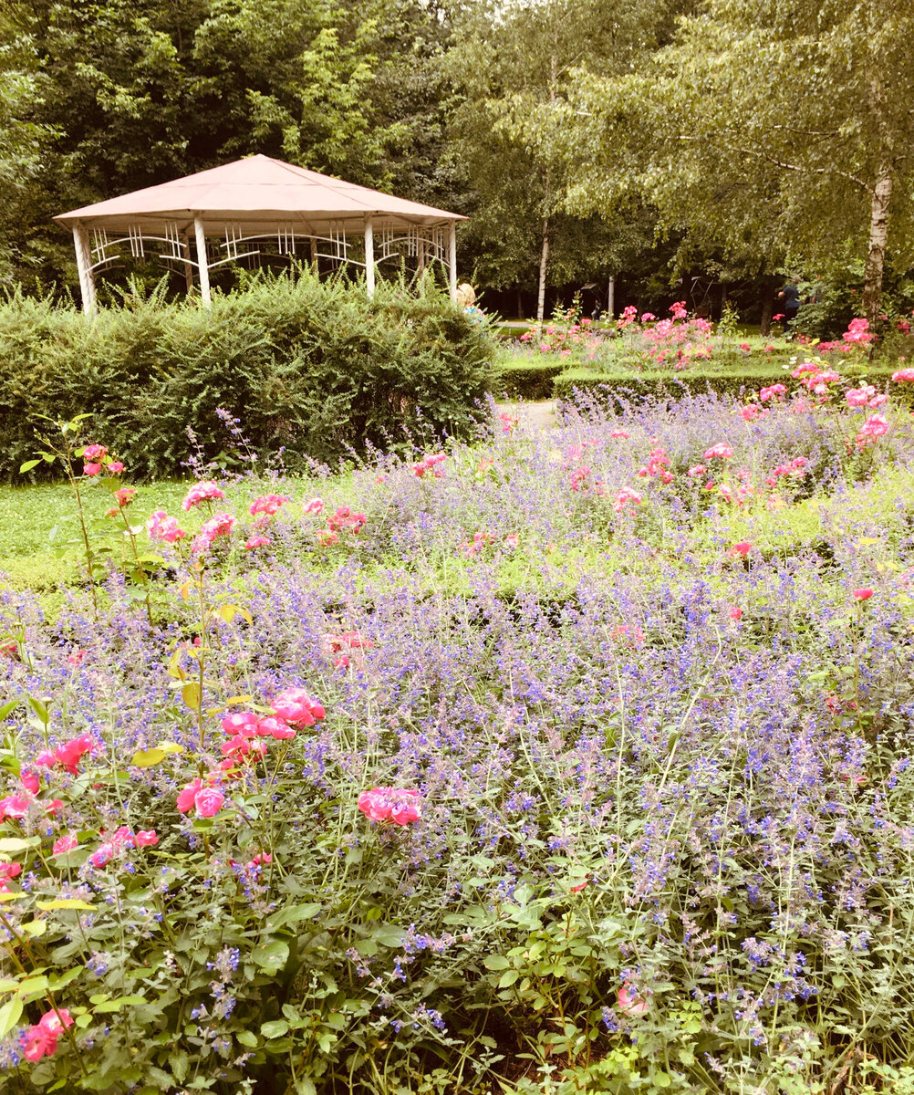 Парк Сокольники. Фото автора. 