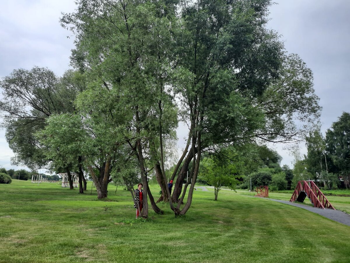 Фото подруги - парк БРОННИЦЫ