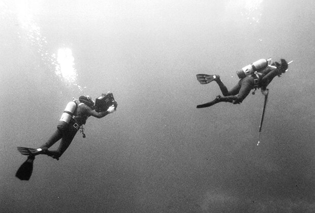 Кадр из фильма «Синяя вода, белая смерть» Фото: Cinema Center Films / Getty Images