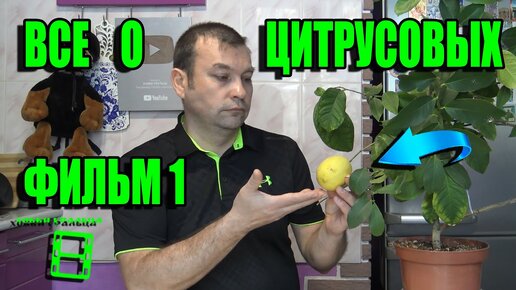 ВСЕ О ВЫРАЩИВАНИИ ЛИМОНА, МАНДАРИНА В ДОМАШНИХ УСЛОВИЯХ ФИЛЬМ 1. КАРАНТИН. ХЛОРОЗ. ЛИСТОПАД. МУЛЬЧА