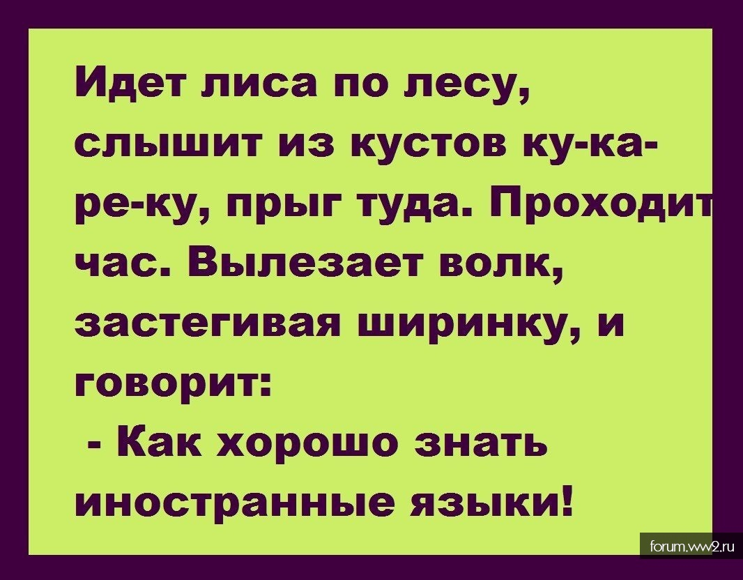 Когда вхожу в лес слышу егорову. Анекдоты. Анекдот. Шутки прибаутки смешные. Самые смешные шутки прибаутки.