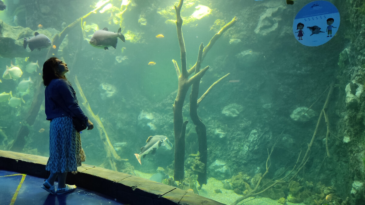 Фото из личного архива. 