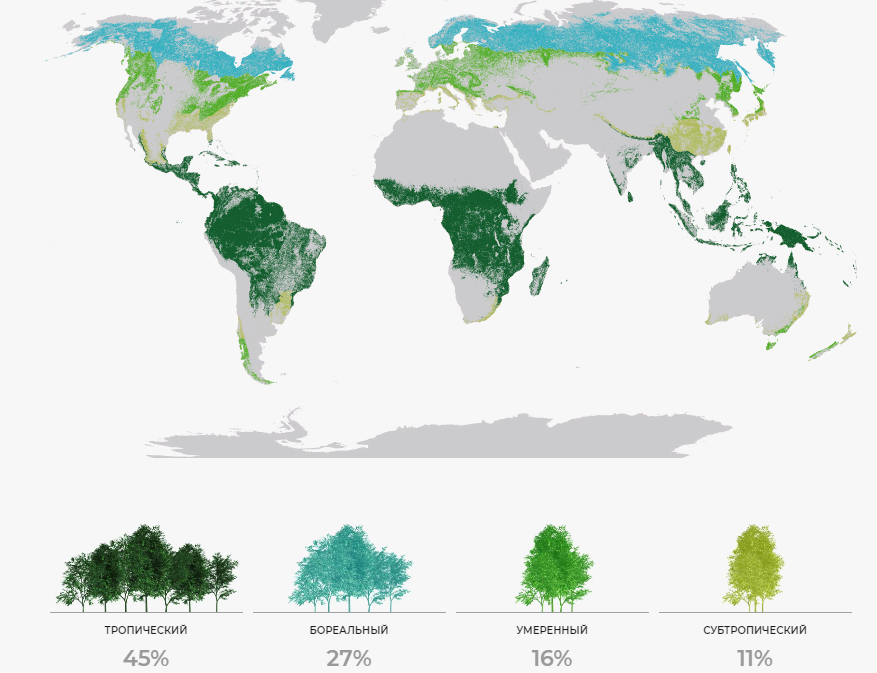 Площадь лесов на планете. Лесные ресурсы карта. Мировые Лесные ресурсы. Карта лесов земли.