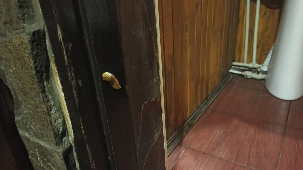 Бывает на фотографиях, все хорошо, а приезжаешь, а там плесень, слизни и грязь.