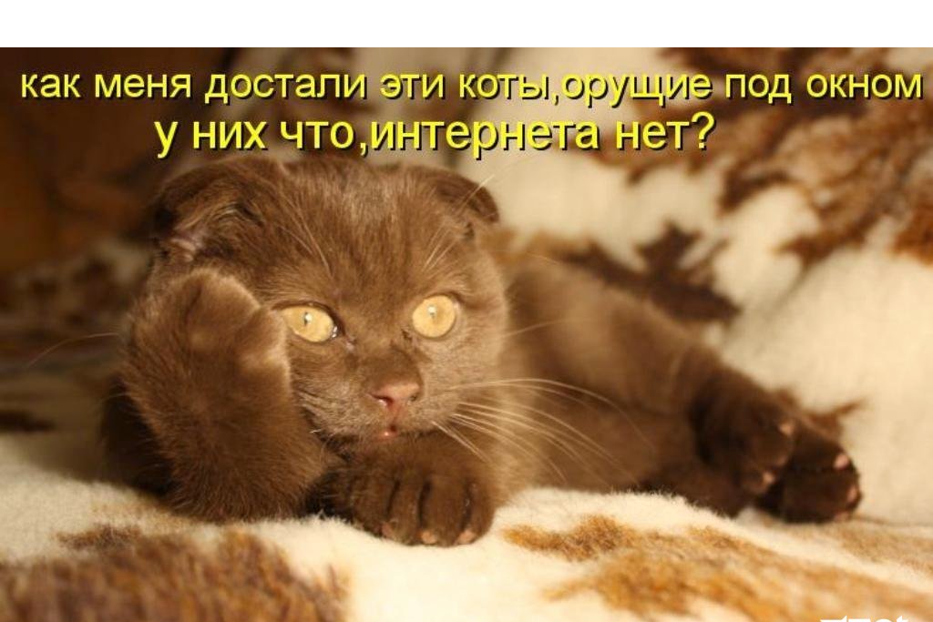 Улыбайтесь люди по какому поводу разве вы не в курсе бродит май по городу картинки