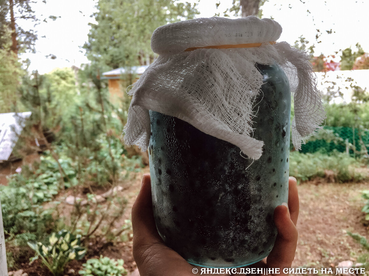 Литровая баночка черники прямиком из холодильника