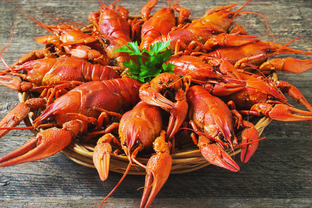 Живые раки ростов. Crawfish. Фото, раки, Эстетика. Картинки морепродуктов в качестве 720. Rak food.