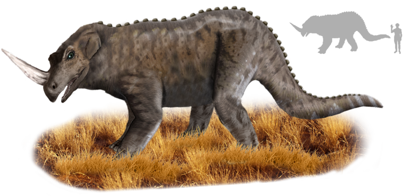 Реконструкция чипекве