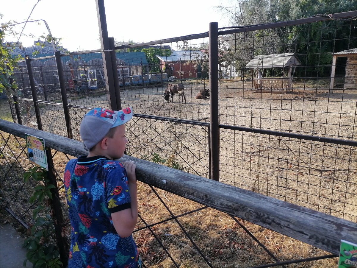 Зоопарк Лукоморье. Фото автора