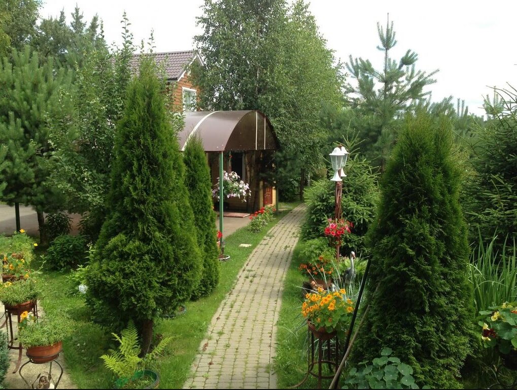 Фото из интернета