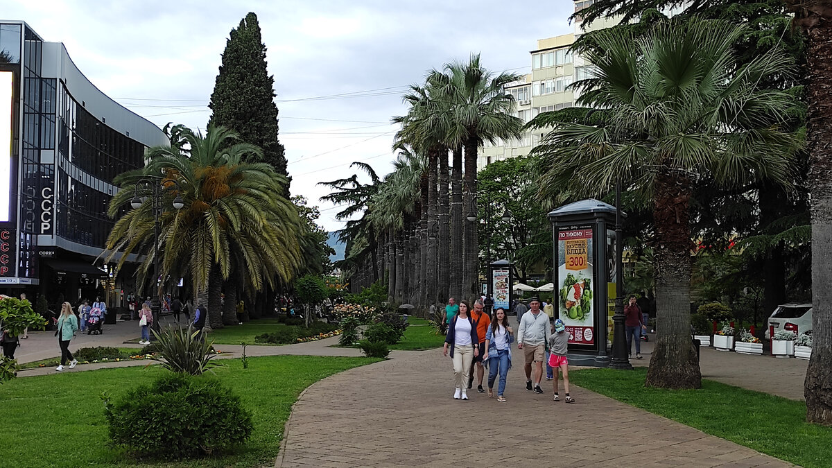 Сочи, улица Навагинская. Фото: Кирилл Полиенко / Polienko: путешествуем вдвоём