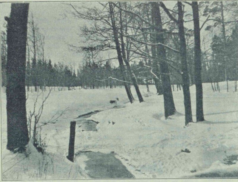 Вид на долину реки Марупите. 1909 год LNB