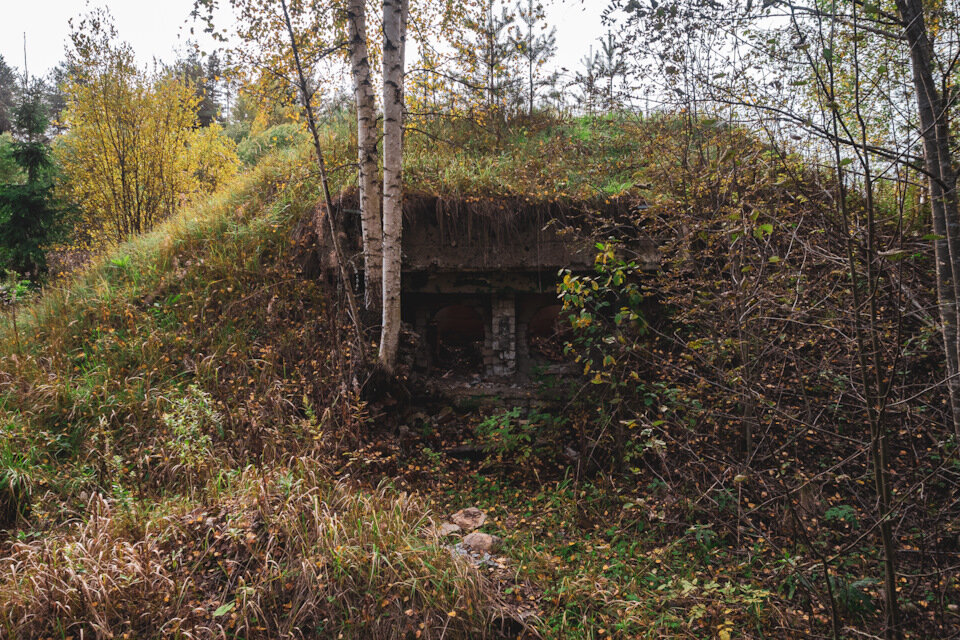 Под костромой