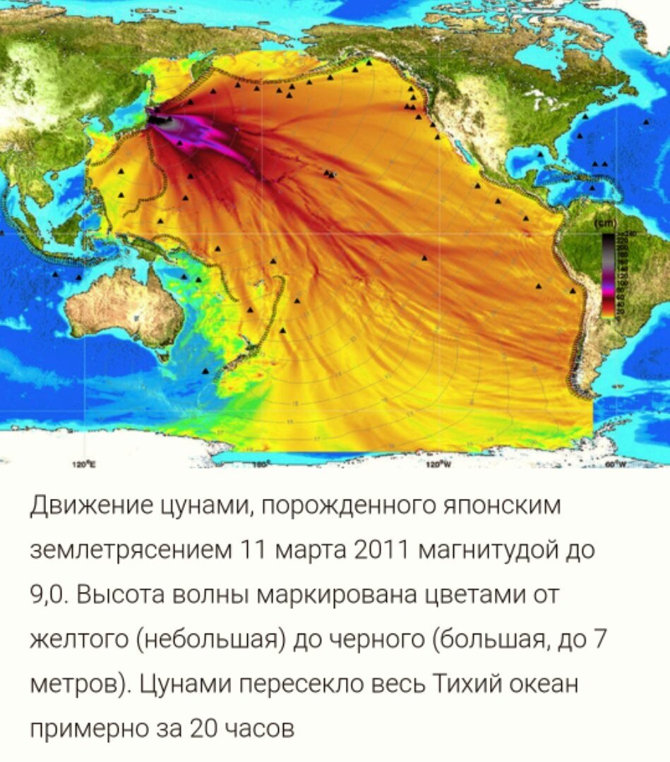 Каким бывает план убийства: