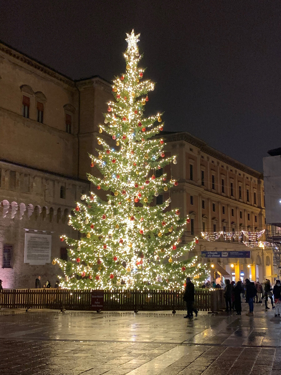 Ёлочка в Болонье
