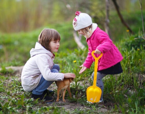 фото из открытого источника