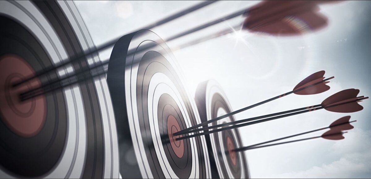 Все цели на год должны быть достигнуты, а мишени - поражены. Картинка взята из открытых источников для целей иллюстрации.