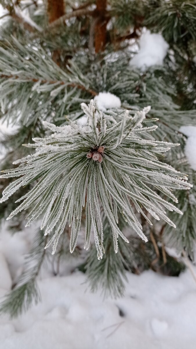 Фото из личного архива