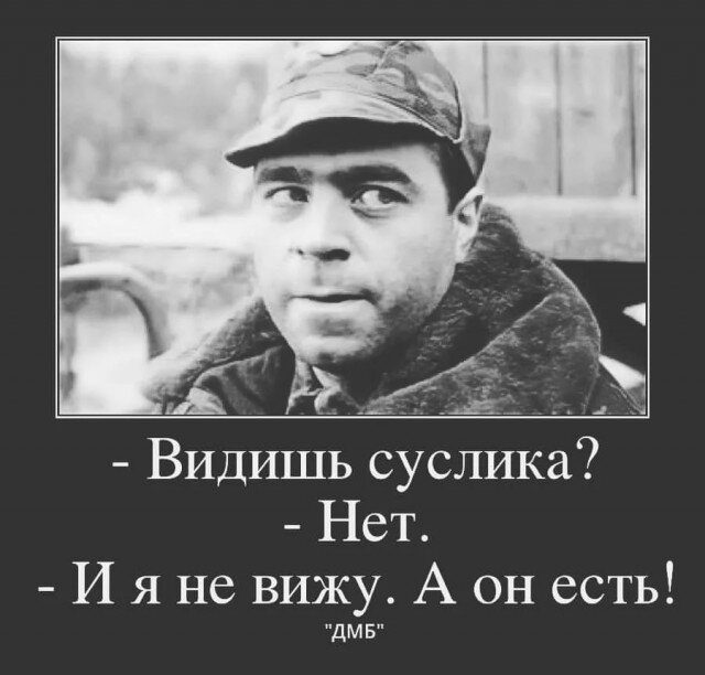 фото взято из открытого источника