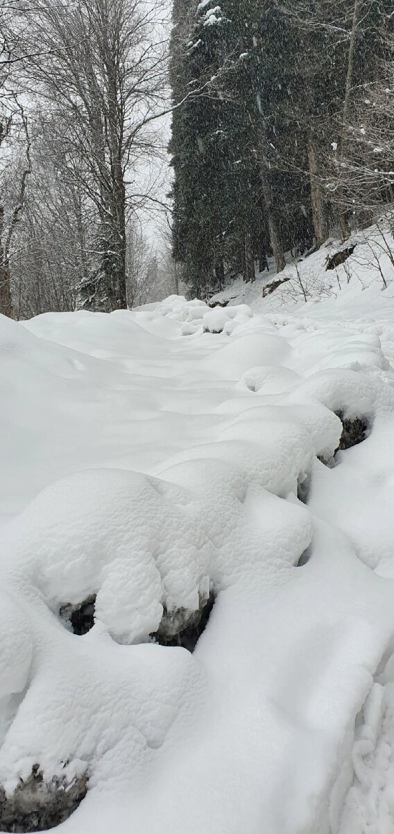 Расчищенная дорога, снега по плечи в некоторых местах