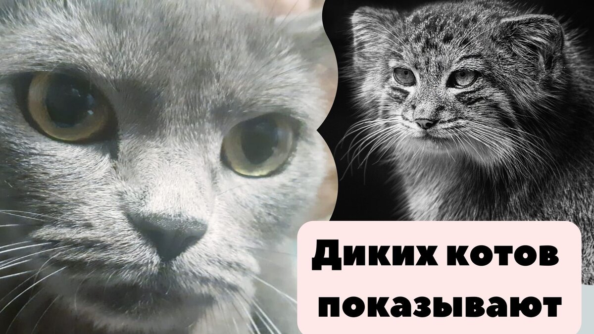 Фото из личного архива