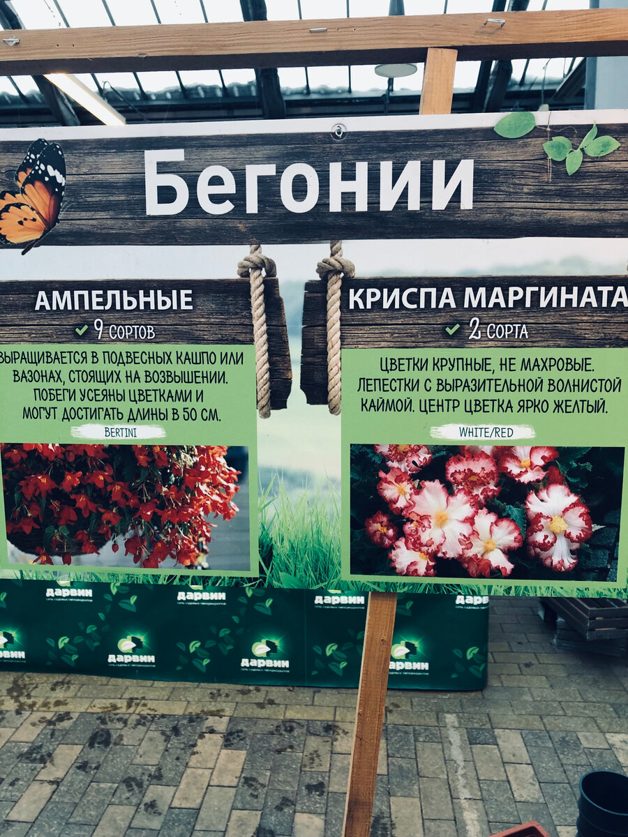 Красота просто нереальная. 