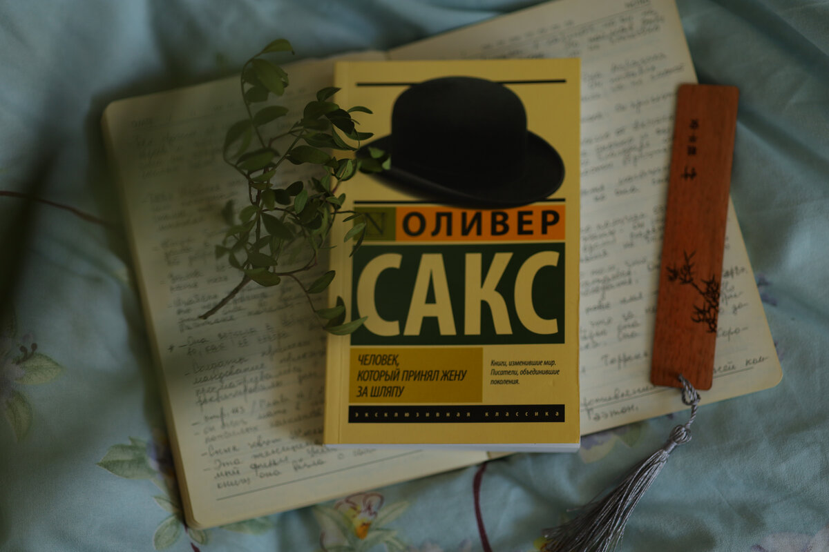 Не встречала книги для широкого круга читателей с настолько глубокой подачей специфичного материала