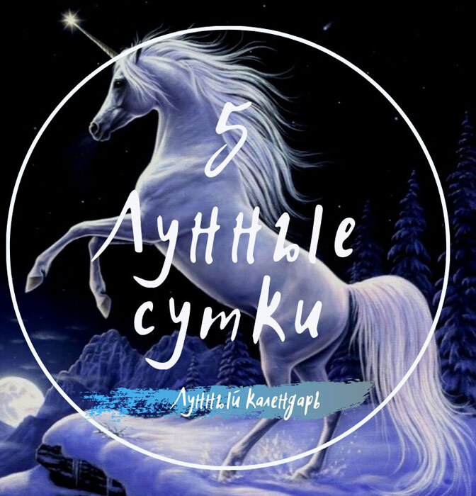 5 лунный день