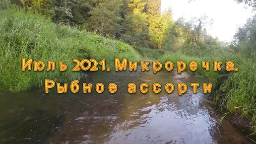 Июль 2021. Микроречка. Рыбное ассорти