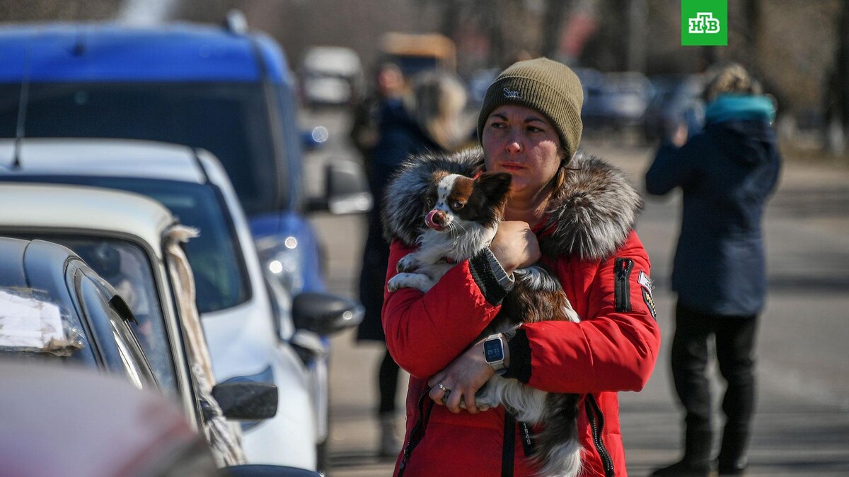    Фото: РИА Новости © 2022, Максим Блинов