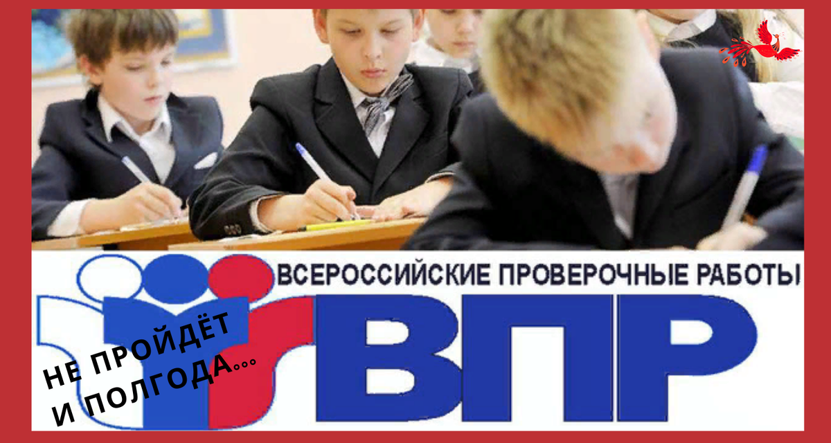 Яндекс картинки