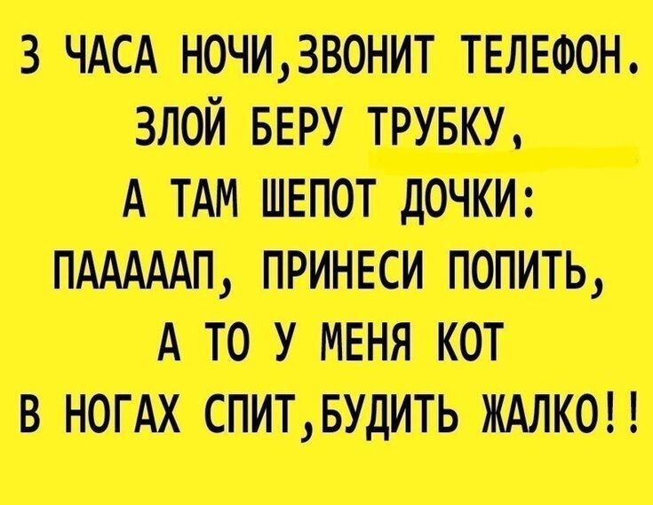 Из открытых источников: Яндекс. Картинки