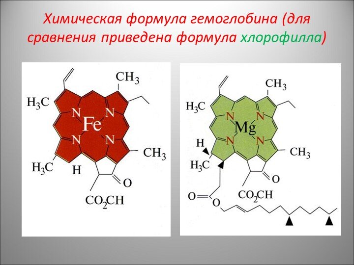 Гемоглобин химия презентация