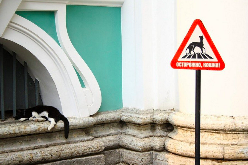 Для безопасности котов Эрмитажа рядом с музеем установлен специальный дорожный знак.