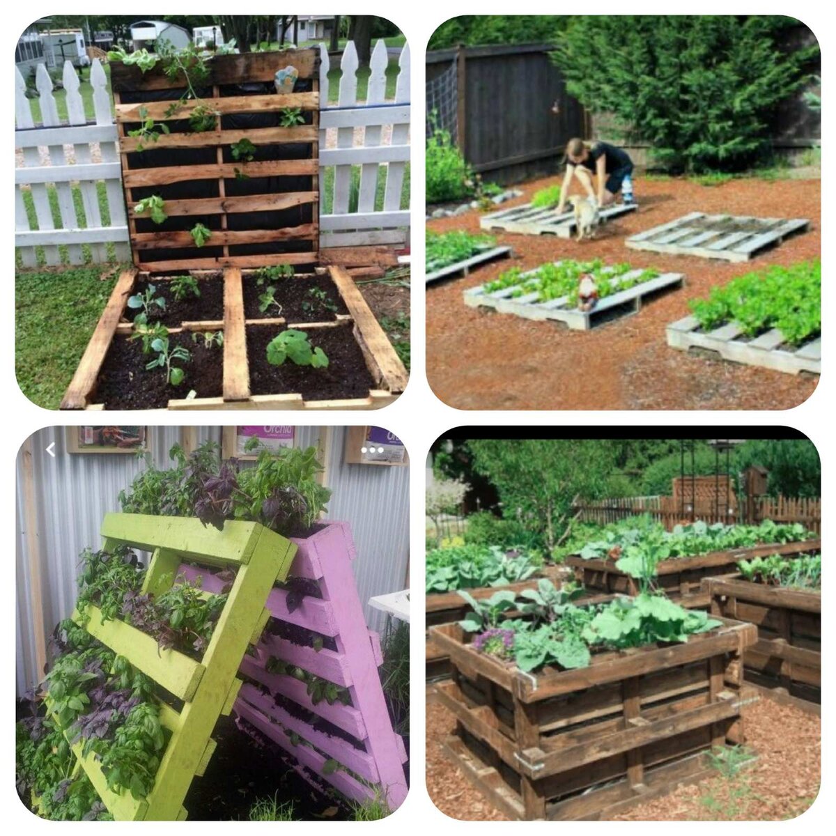 Грядки из паллет