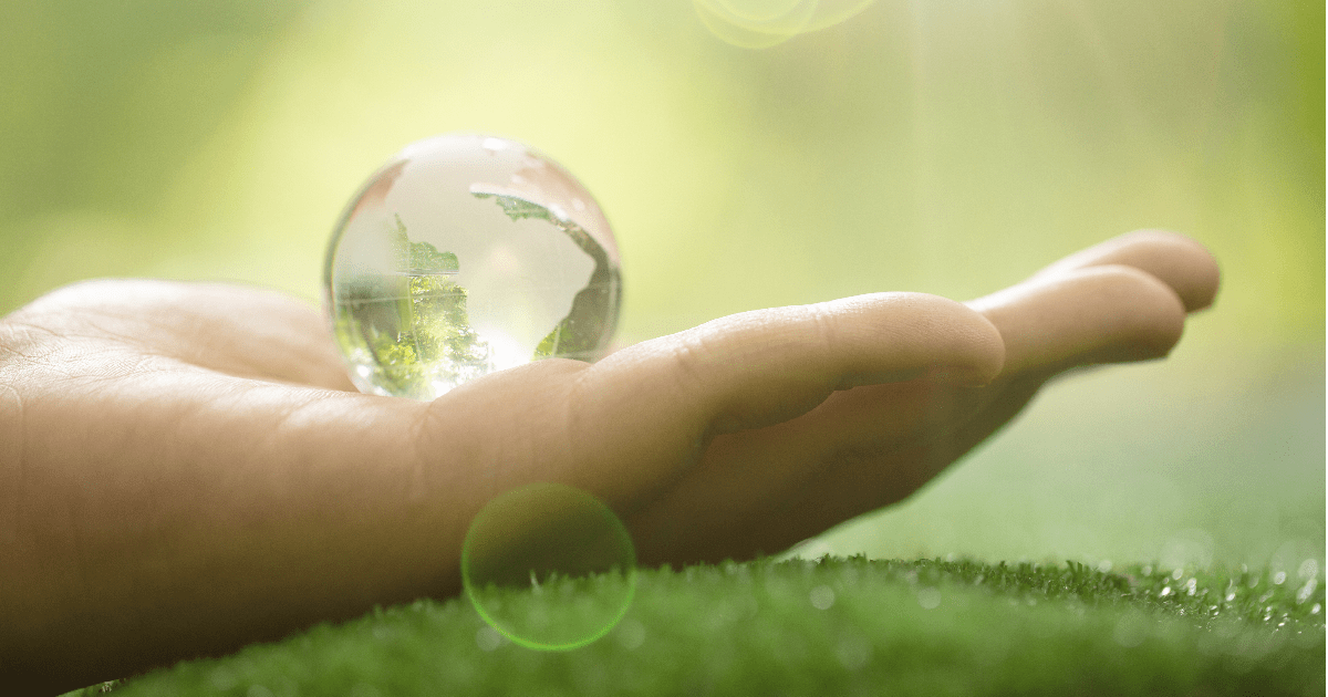 Фото: freepik.com/brgfx