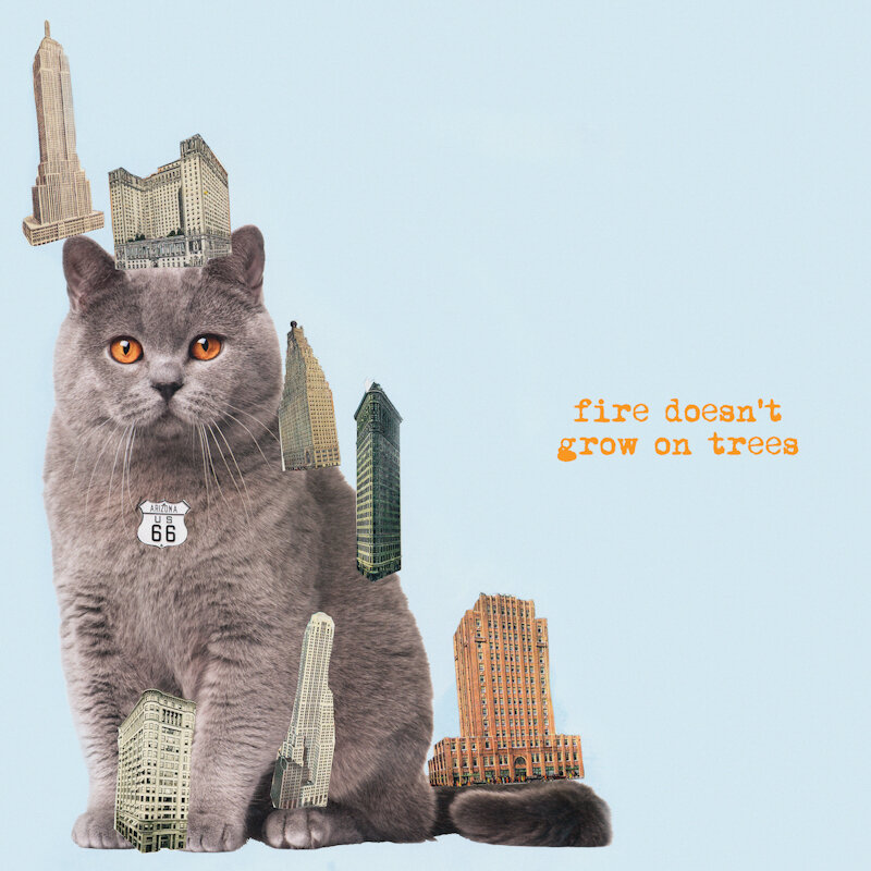 The Brian Jonestown Massacre - Fire Doesn’t Grow On Trees (A Records, 2022)