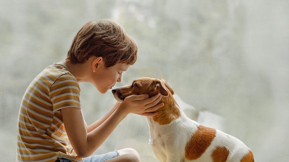 Мальчик хочет поцеловать собаку 