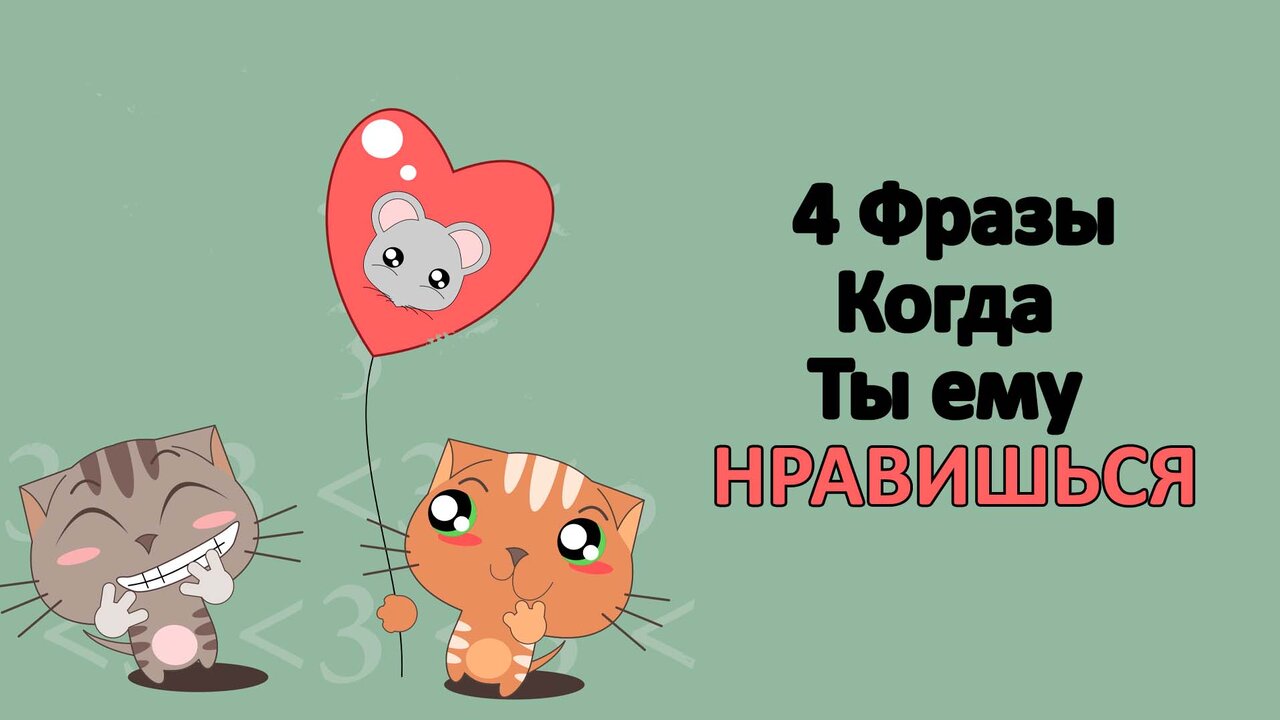 Если вы нравитесь людям то вы хороши если. Собака саши спилберг. Если нравится человек скажи ему об этом. Ты ему нравишься видео. S ты мне нравишься.