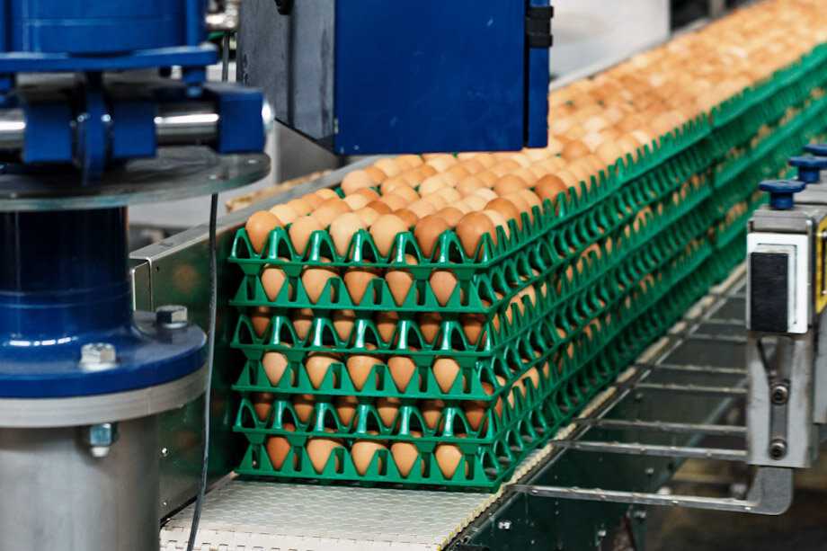 Фото: сайт ПАО «Птицефабрика “Боровская”»