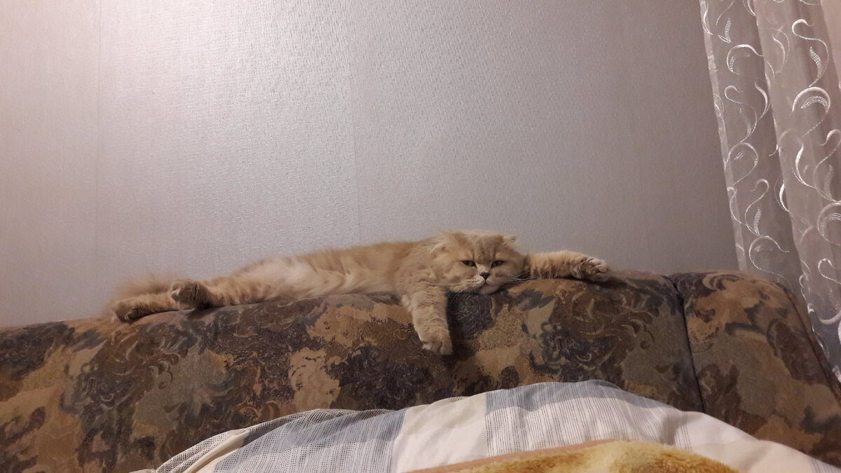 Первый вечер в Петербурге после перелета