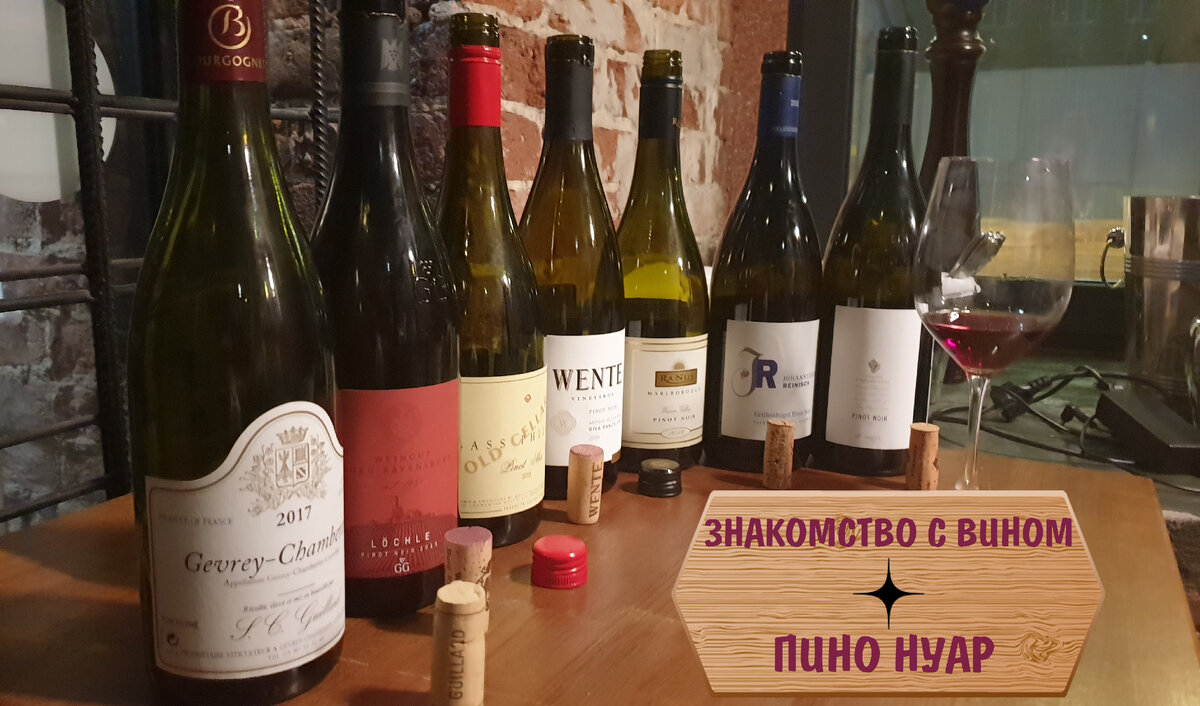 ТОП-7 Пино Нуаров
