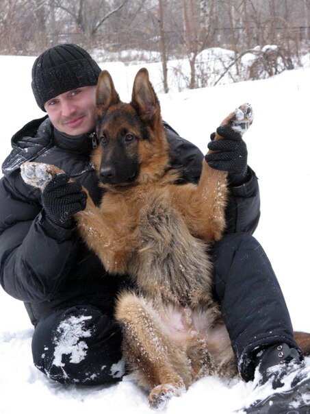 Инструктор Дог-центра Тольятти Роман Шигаев и немецкая овчарка Цер
