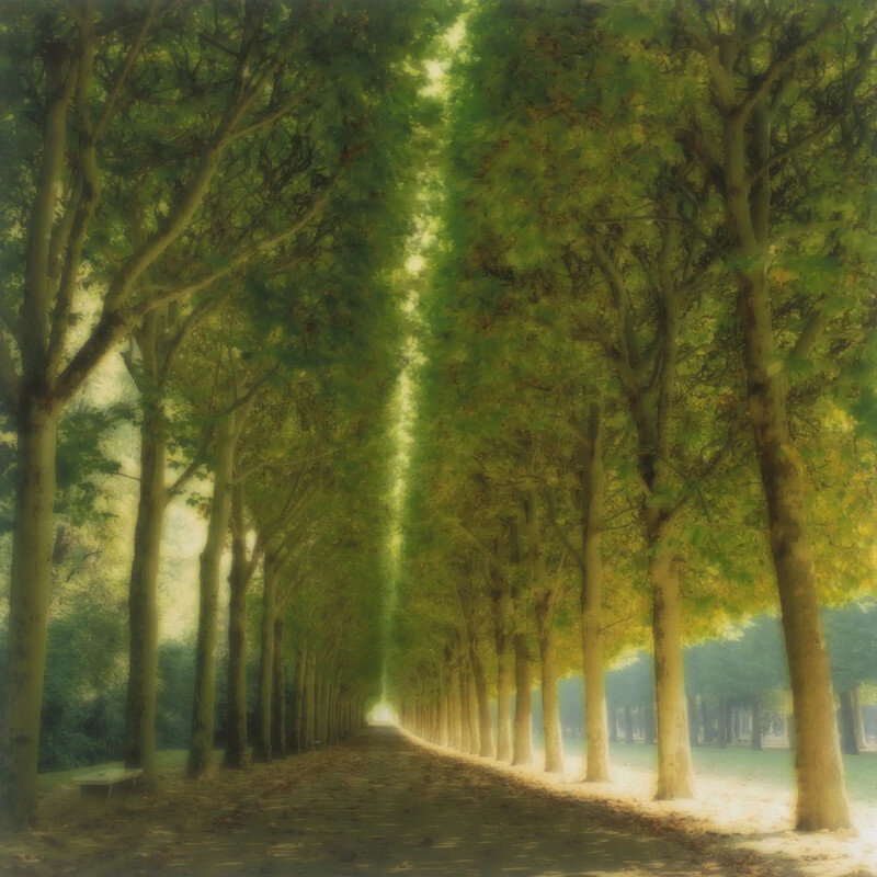 фото: Линн Гизаман