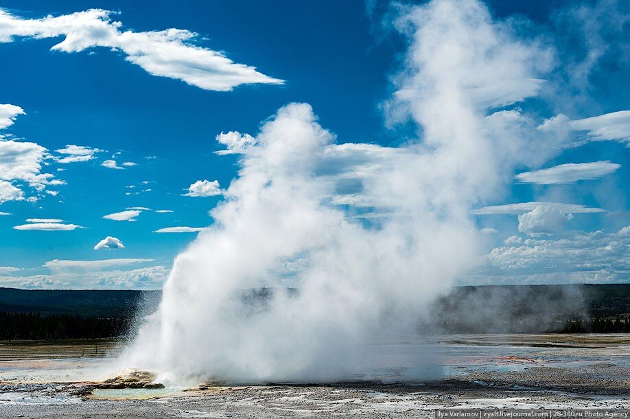 окутанный паром гейзер