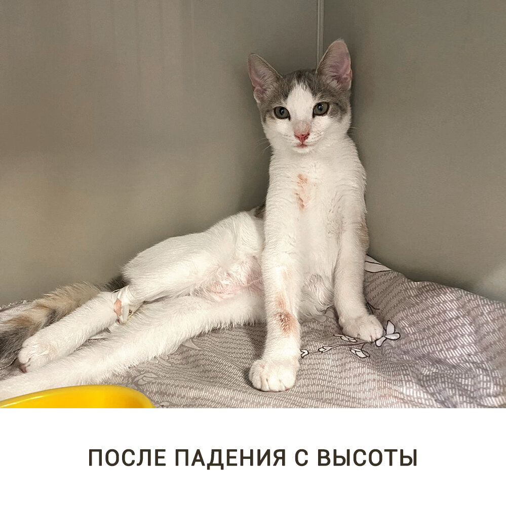 В стационаре клиники