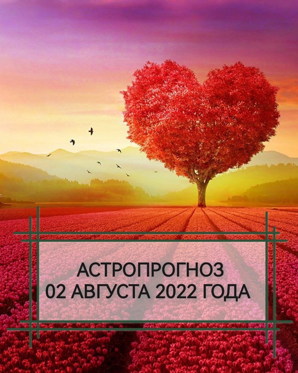 Энергии августа 2022. Обрести счастье.