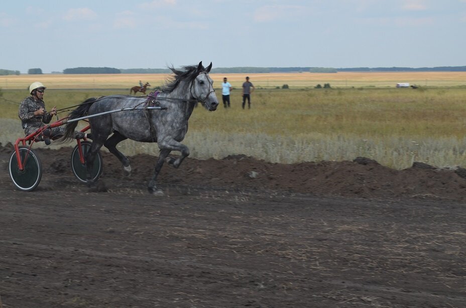 Погода в воронино