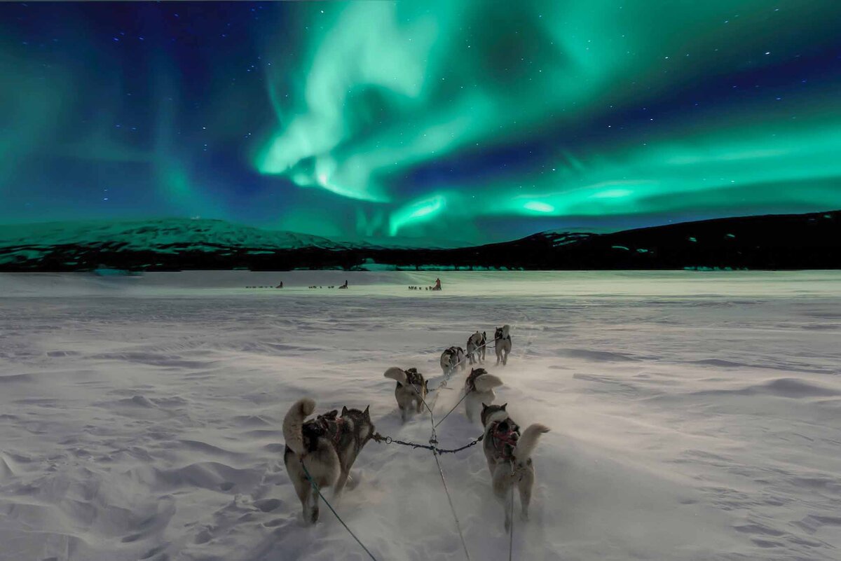    Ловить северное сияние лучше вдали от города.Фото: unsplash.com