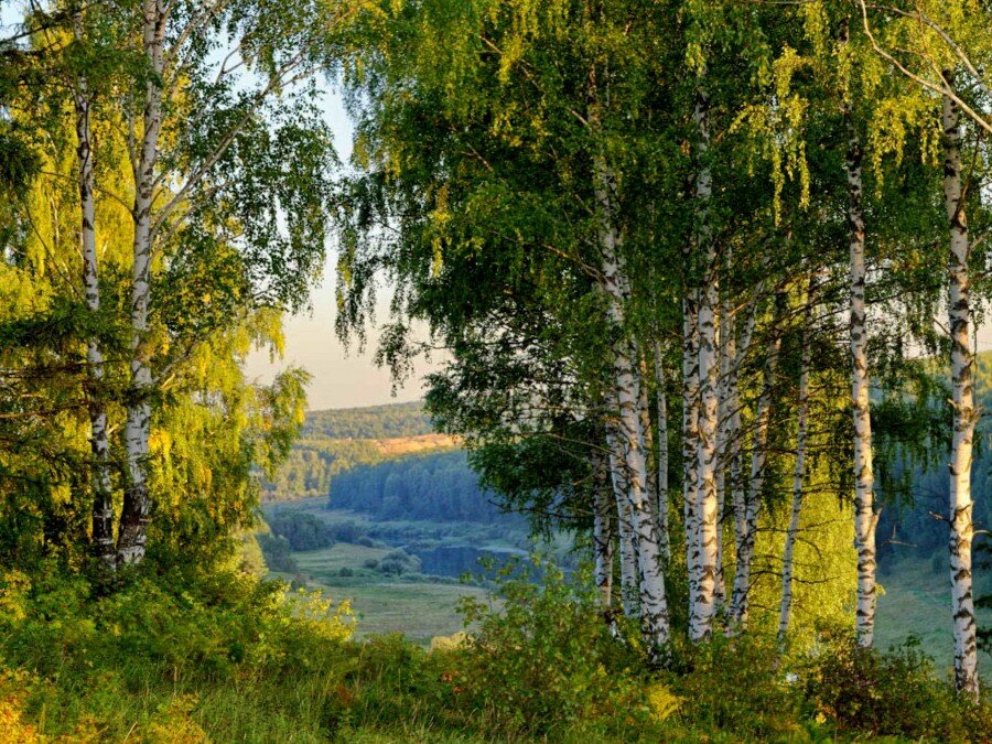 Уголок русской природы